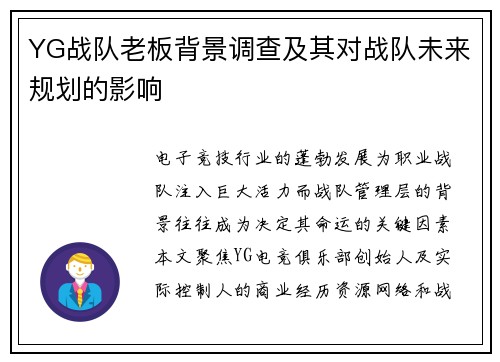 YG战队老板背景调查及其对战队未来规划的影响
