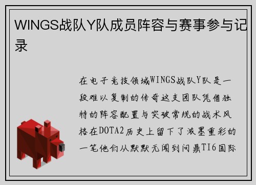 WINGS战队Y队成员阵容与赛事参与记录